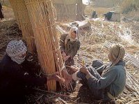 House building